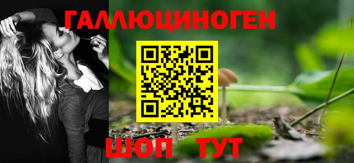 Екатеринбург  Псилоцибиновые грибы мицелий  Вход с VPN  Псилоцибиновые грибы Cubensis 